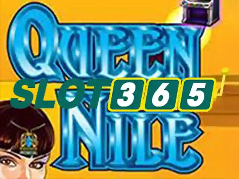 Trải nghiệm người dùng và phản hồi cộng đồng