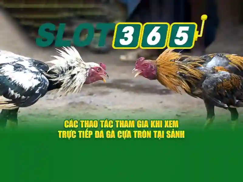 slot365 tải - Khám phá trải nghiệm Slot365 tối ưu Giao diện nhà cái hoàn hảo