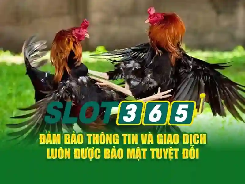 Các trò chơi đa dạng và thưởng hấp dẫn\n<h3>An toàn và thanh toán tiện lợi</h3>\n<p><span style=