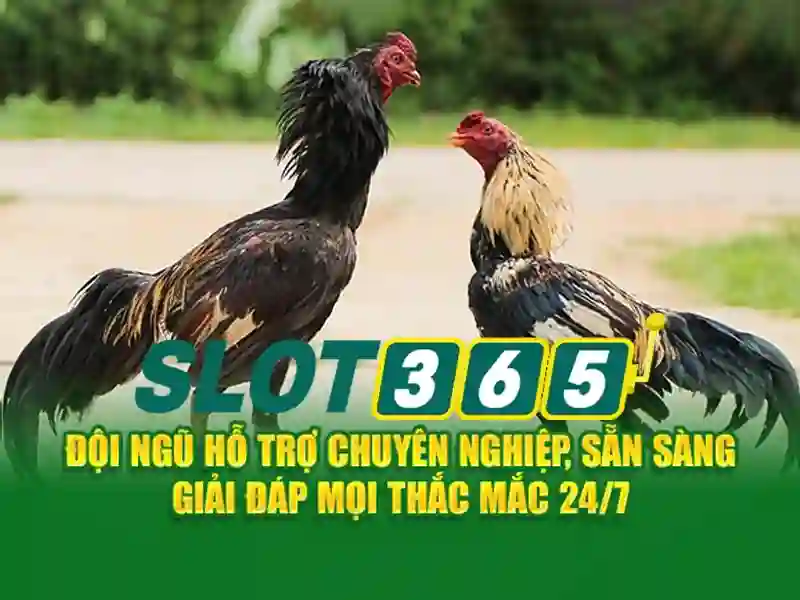 Slot365: Trải nghiệm casino trực tuyến và các slot hàng đầu Giao diện nhà cái hoàn hảo