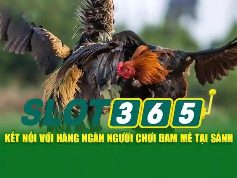 Khởi nguồn và sứ mệnh của tải app slot365