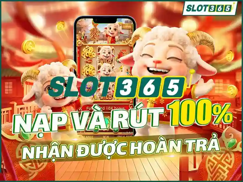 Phản hồi người dùng và cộng đồng Slot365