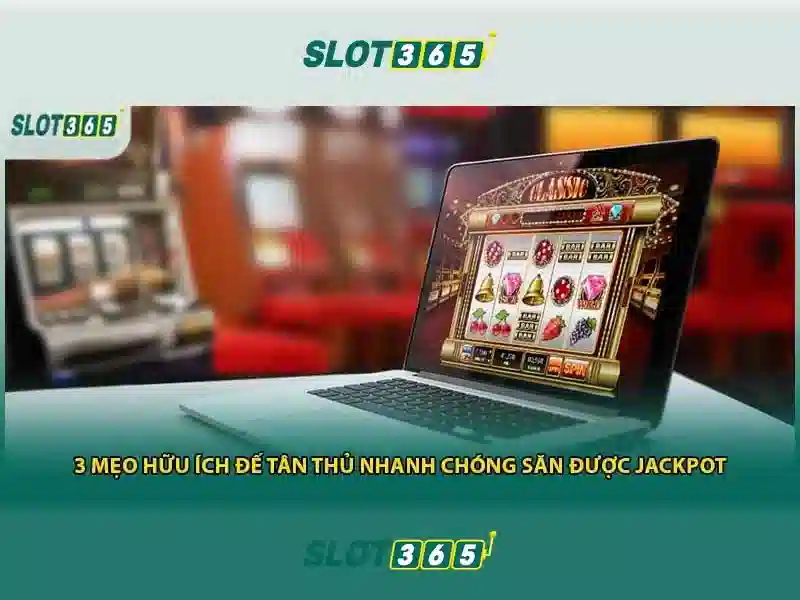 slot365 đăng nhập – Tổng quan và Giá trị Cốt lõi