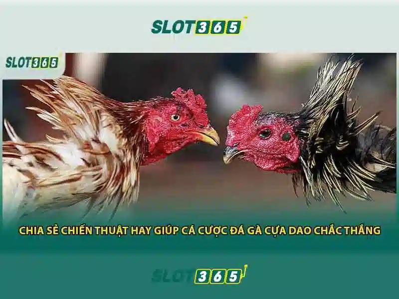 Danh mục trò chơi và máy xèng