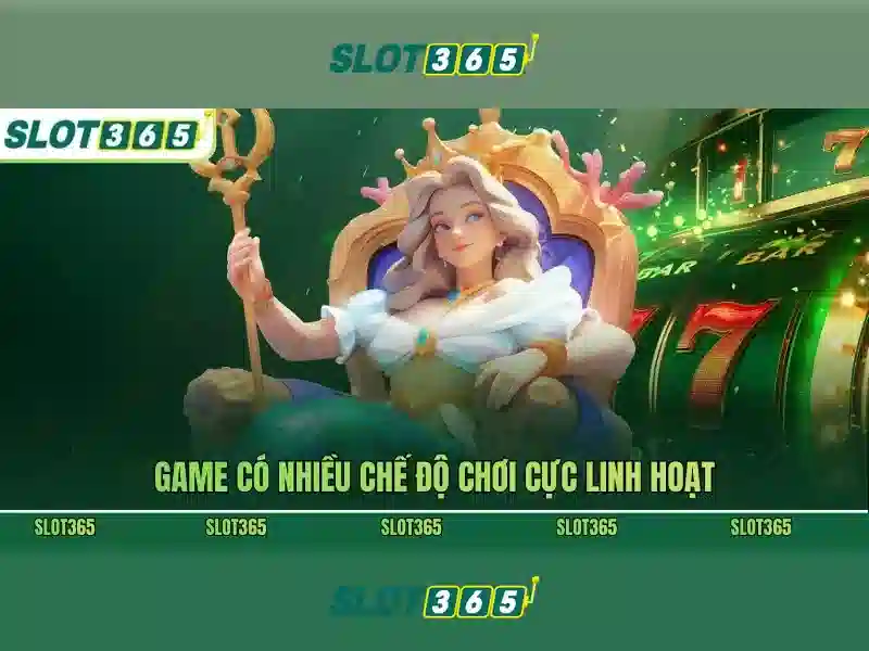 Hỗ trợ người dùng