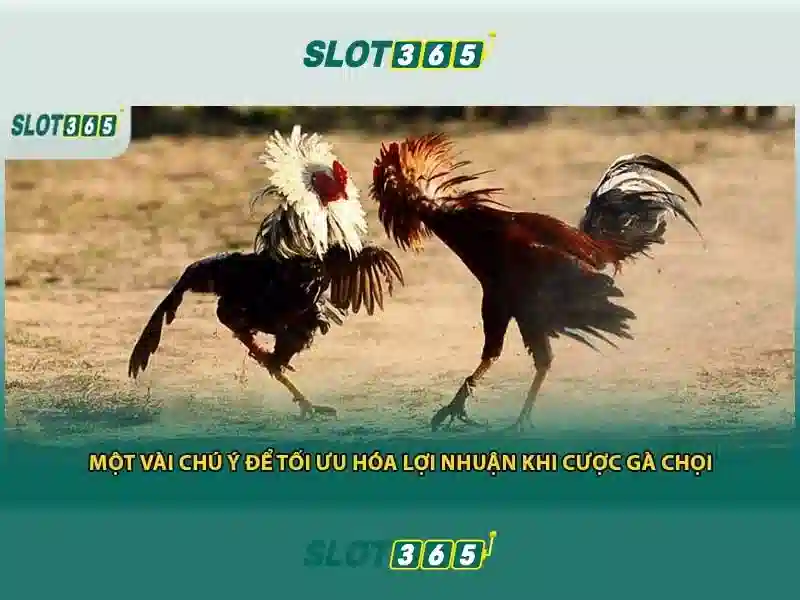 Slot365 là gì và tại sao nên thử trải nghiệm slot trực tuyến Giao diện nhà cái hoàn hảo