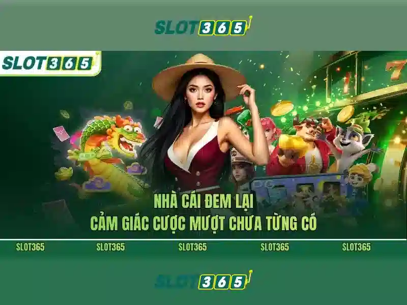 Chính sách bảo mật và khuyến mãi