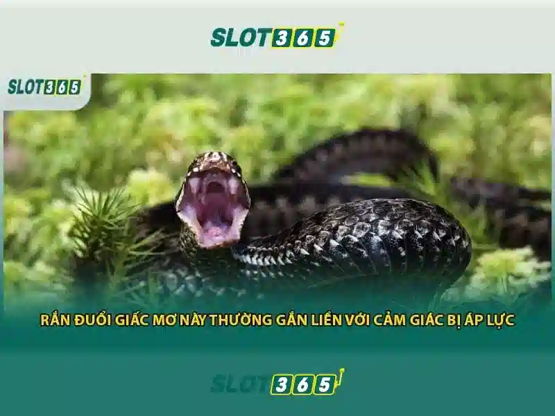 Sản phẩm và dịch vụ cốt lõi: ứng dụng thực tế của app slot365