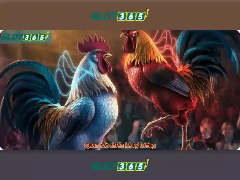 Giao diện nhà cái hoàn hảo