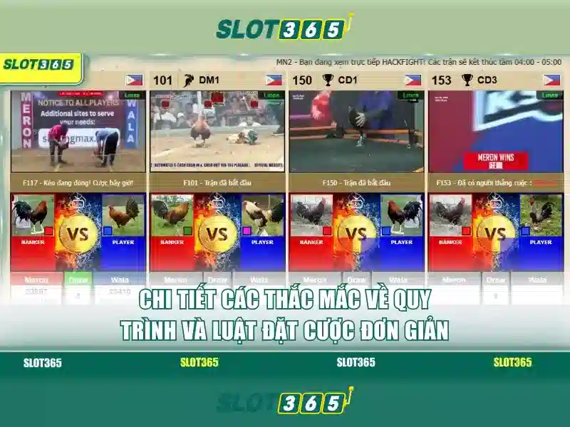 An toàn và thanh toán<h>Kết luận</h><p><span style=