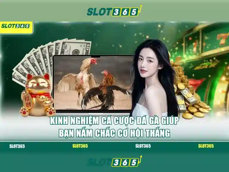 Giao diện nhà cái hoàn hảo