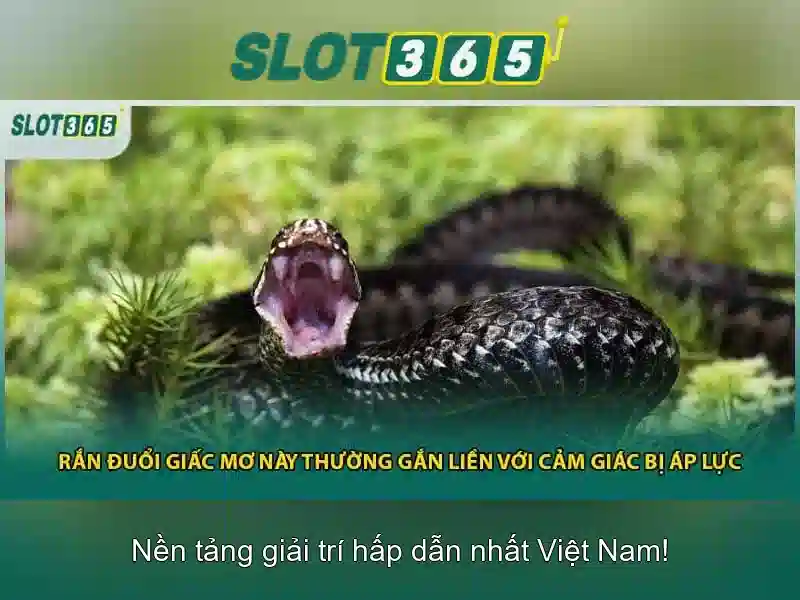 An toàn và thanh toán