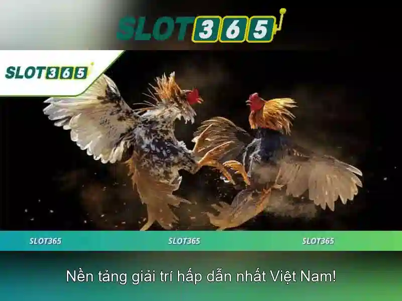Slot365 - Nền tảng đánh bạc trực tuyến uy tín Giao diện nhà cái hoàn hảo