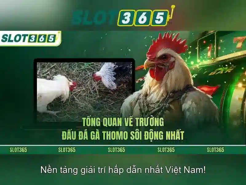 An toàn thanh toán và hỗ trợ khách hàng