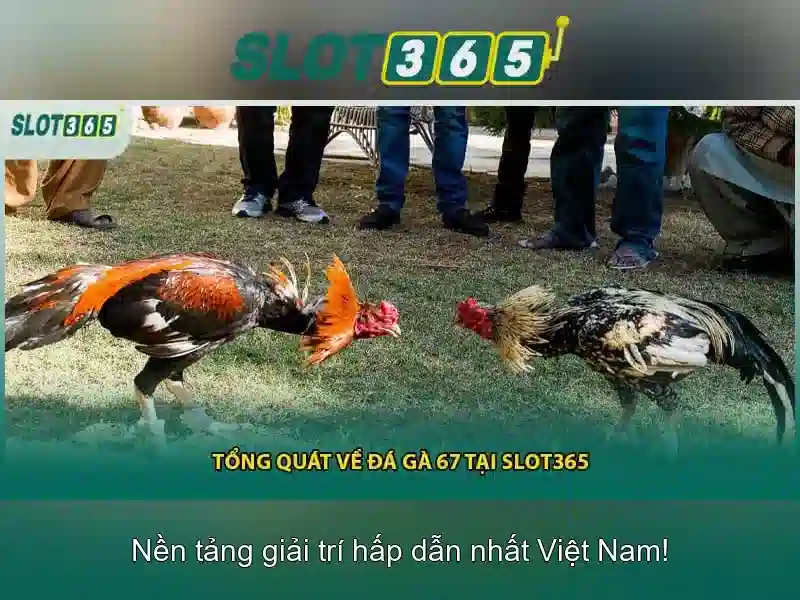 Giao diện nhà cái hoàn hảo