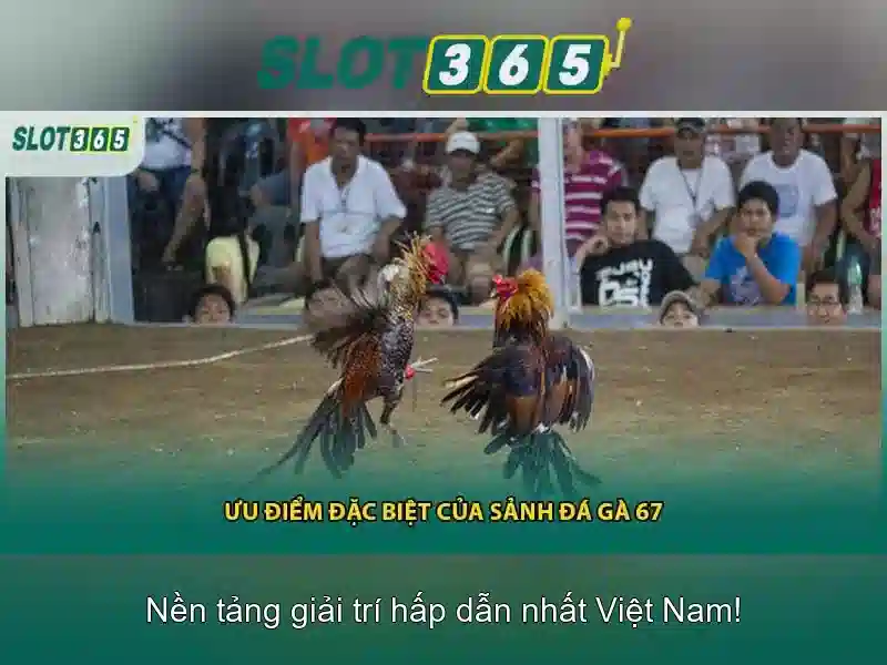 Trò chơi và nhà cung cấp
