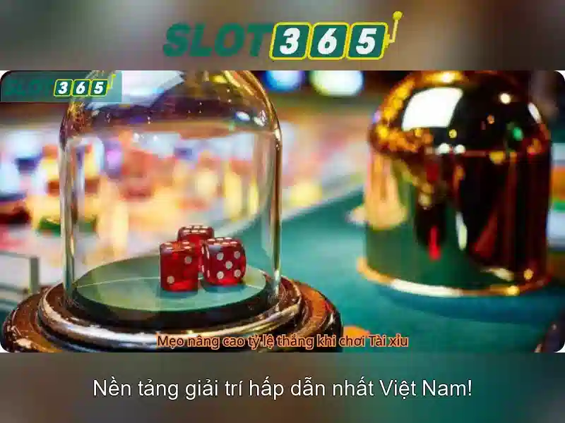 Giao diện di động và trải nghiệm người dùng
