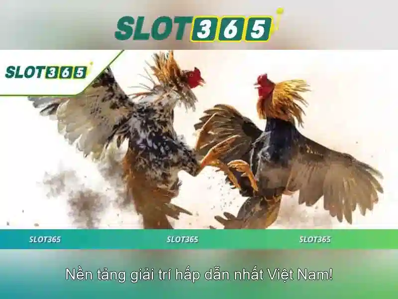 Các chương trình khuyến mãi và ưu đãi<h2><b>An toàn và thanh toán</b></h2><p><span style=