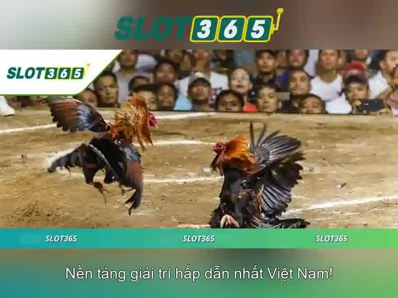 Khuyến mãi và chương trình thưởng