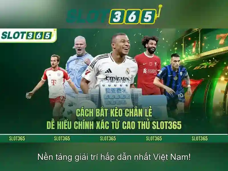 Tính năng thanh toán an toàn và trải nghiệm người dùng