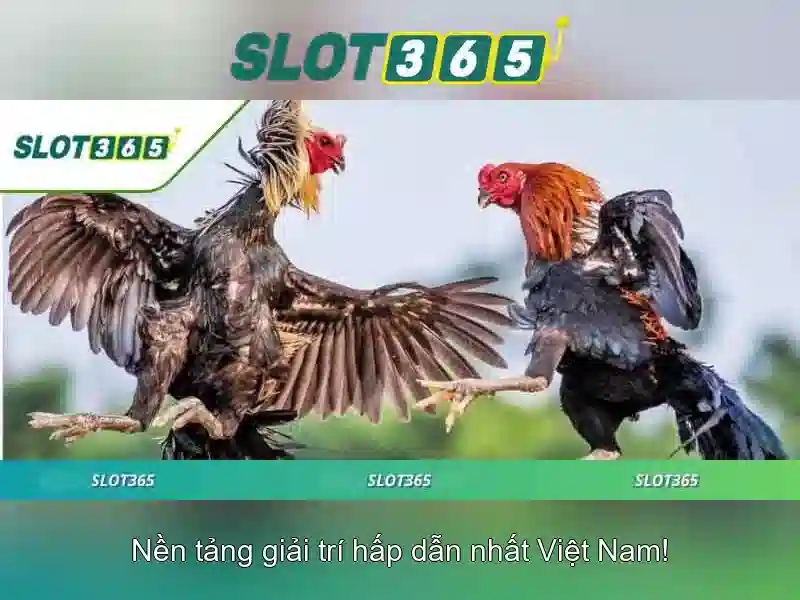 An toàn và thanh toán