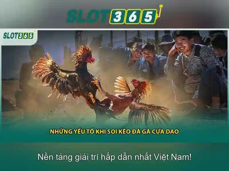 Giao diện nhà cái hoàn hảo