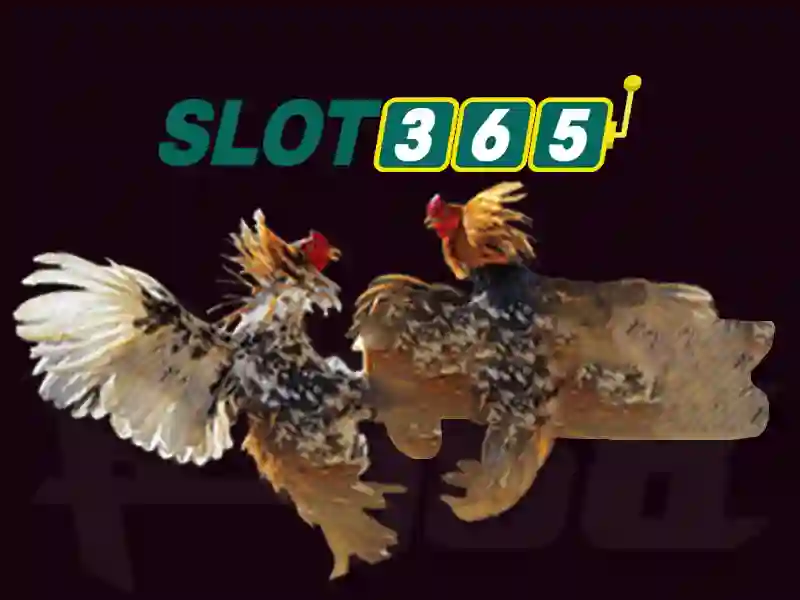 slot365 có uy tín không – Đánh giá tổng quan và ứng dụng Giao diện nhà cái hoàn hảo