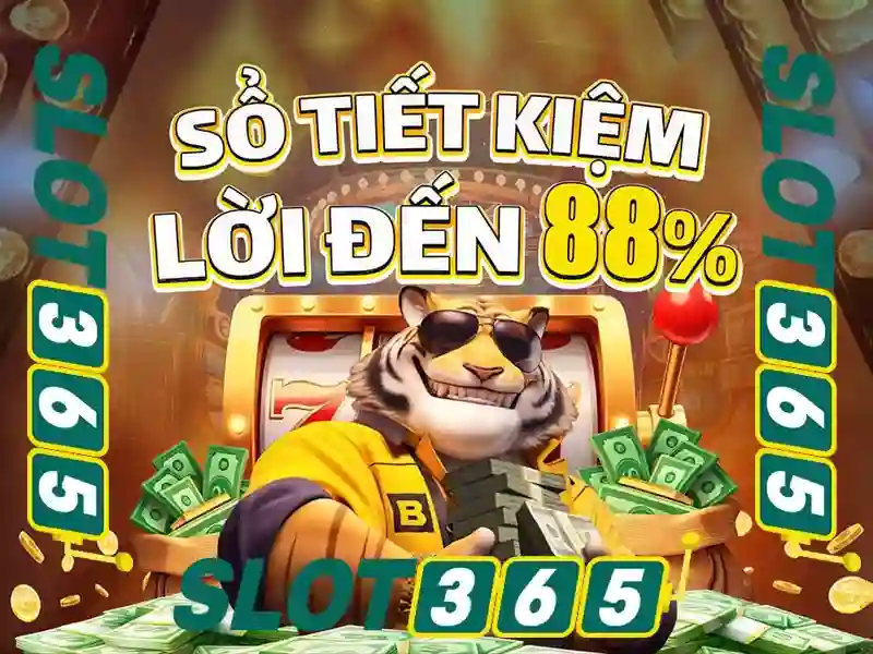 hỗ trợ Slot365 – Ưu thế và cạnh tranh