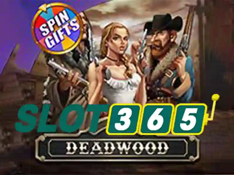 Slot365 – Trải nghiệm người dùng và phản hồi cộng đồng
